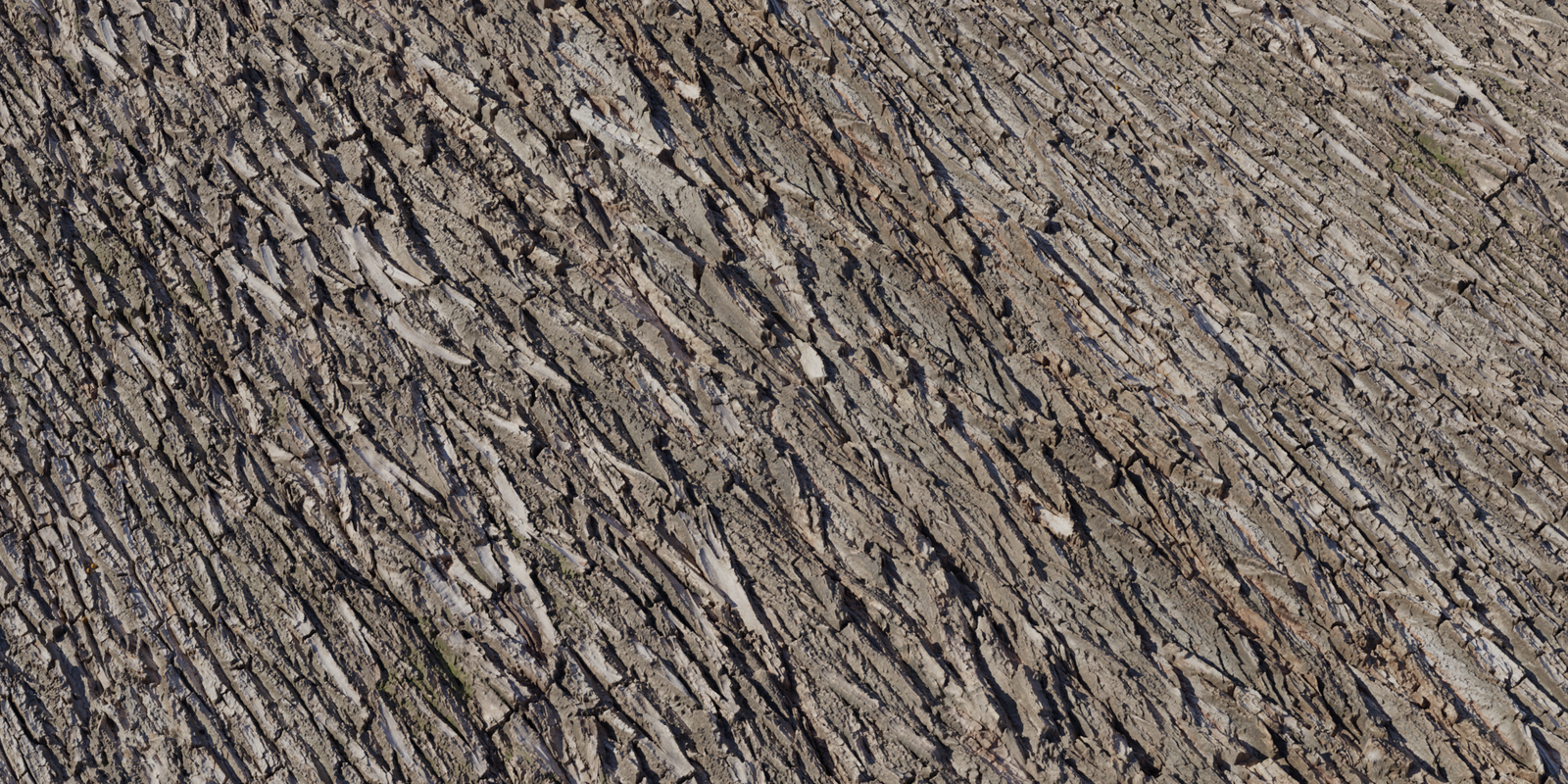 Bark Willow 02