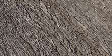 Bark Willow 02 - Preview