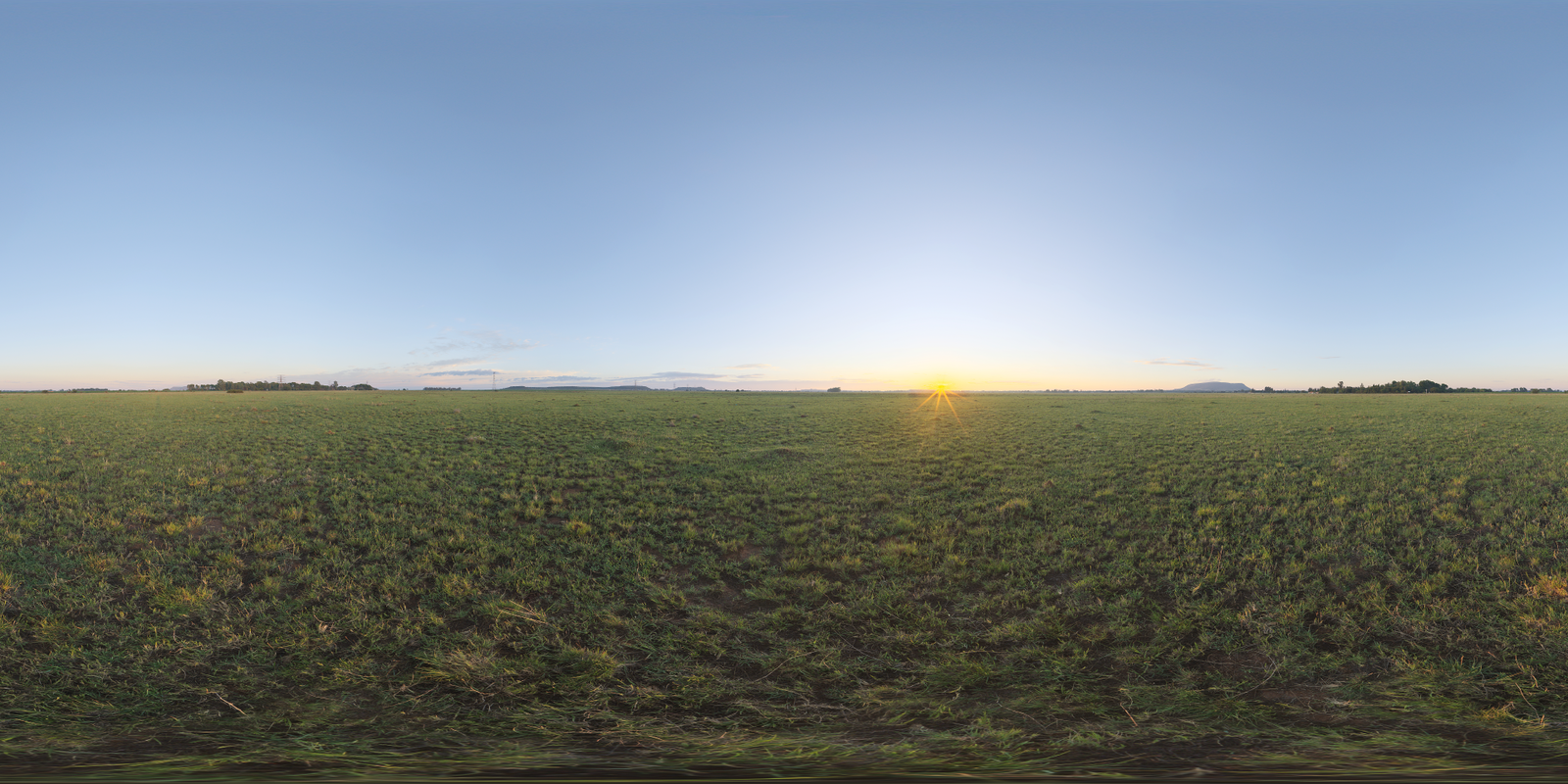 Bloem Field Sunrise