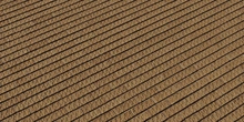 Brick Wall 12 - Preview