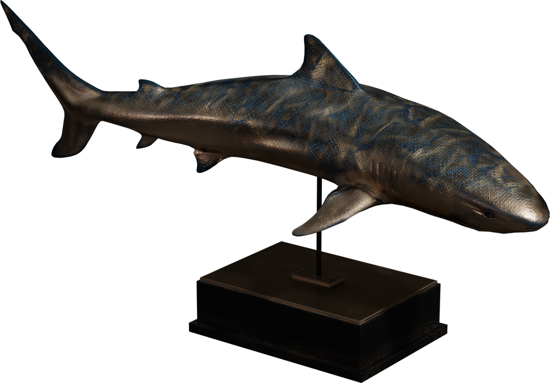Free 4K bronze shark statue model with blue patina, sleek sculpted fins, and hammered detail. Mounted on a dark wooden plinth with a metal stand.