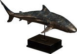 Bronze Shark Statue - Preview