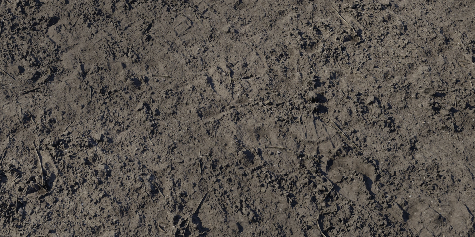 Free 8K texture of brown mud with dry, granular soil, scattered stones, twigs and plant debris, rough compacted surface and organic earthy variation.