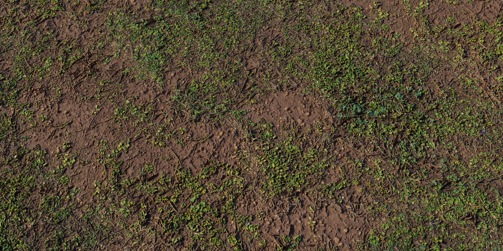 Brown Mud Leaves 01