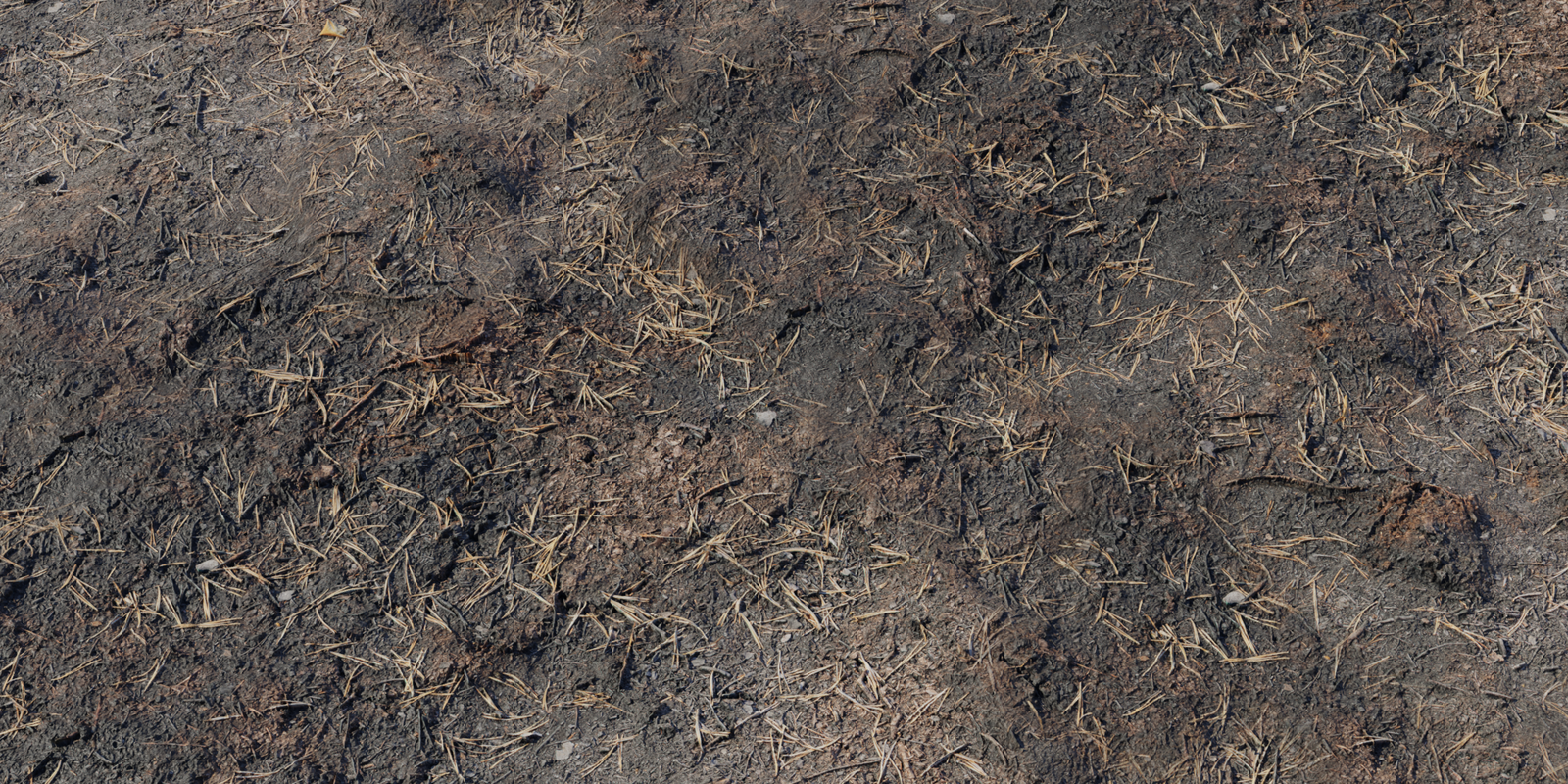 Burned Ground 01