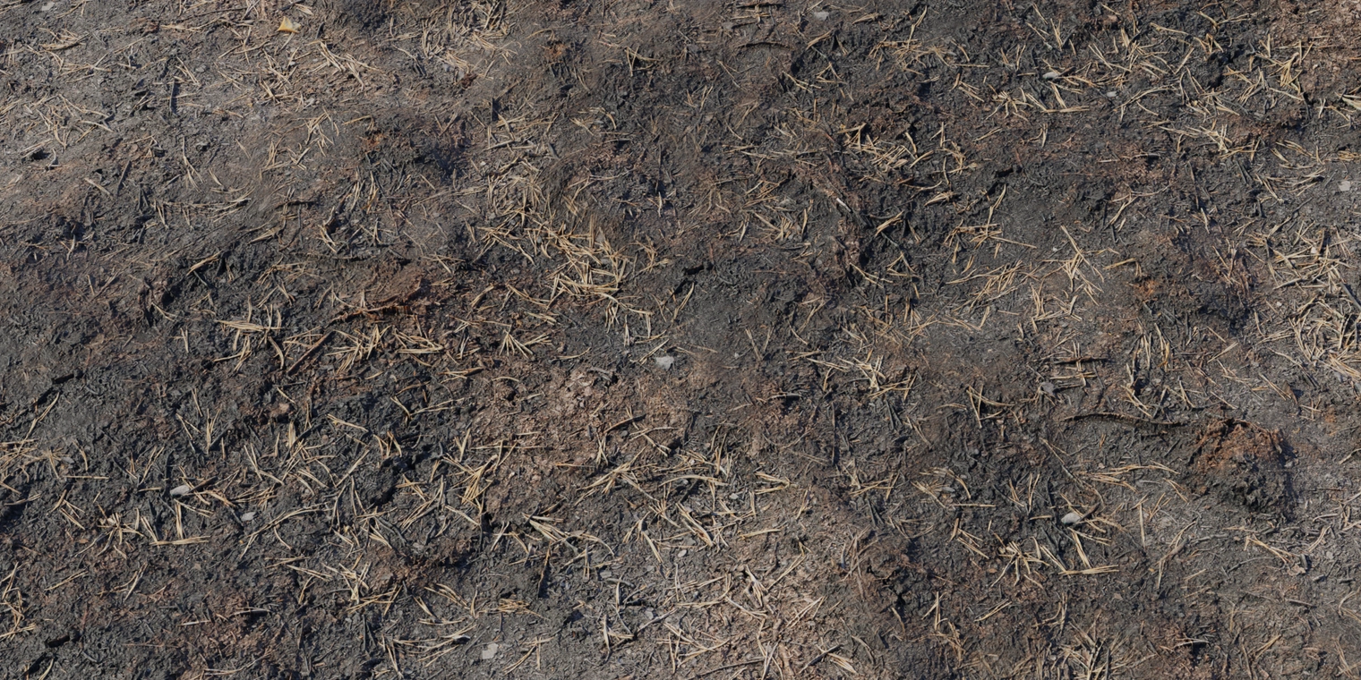 Free 8K texture of scorched, gravelly ground with charred soil, ash and dry leaf litter - rough, gritty surface with scattered plant debris and loose stones.