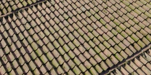 Ceramic Roof 01 - Preview