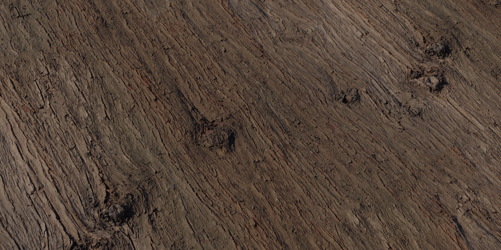 Chinese Cedar Bark