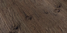 Chinese Cedar Bark - Preview