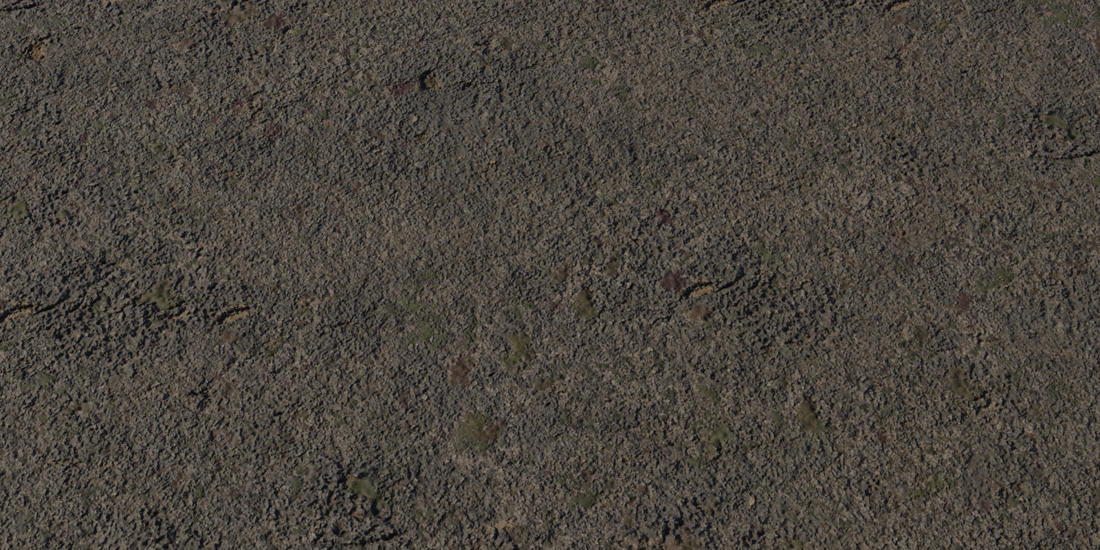 Coast Sand 05
