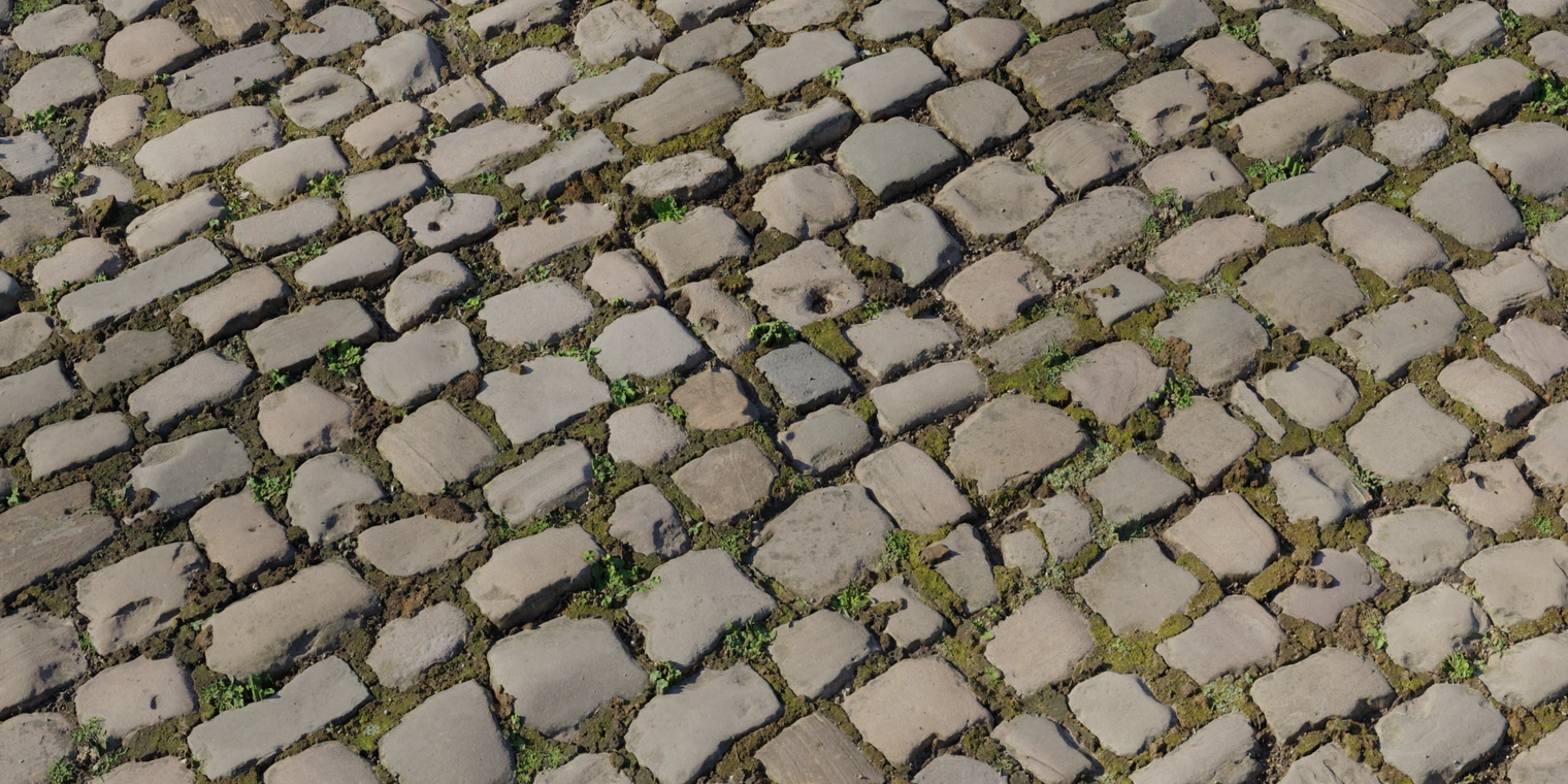 Free 8K cobblestone texture showing damp, moss-filled joints and worn, slightly glossy stones with soil and small plants between uneven man-made cobbles.