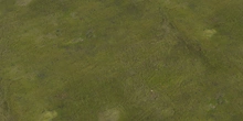 Concrete Moss - Preview