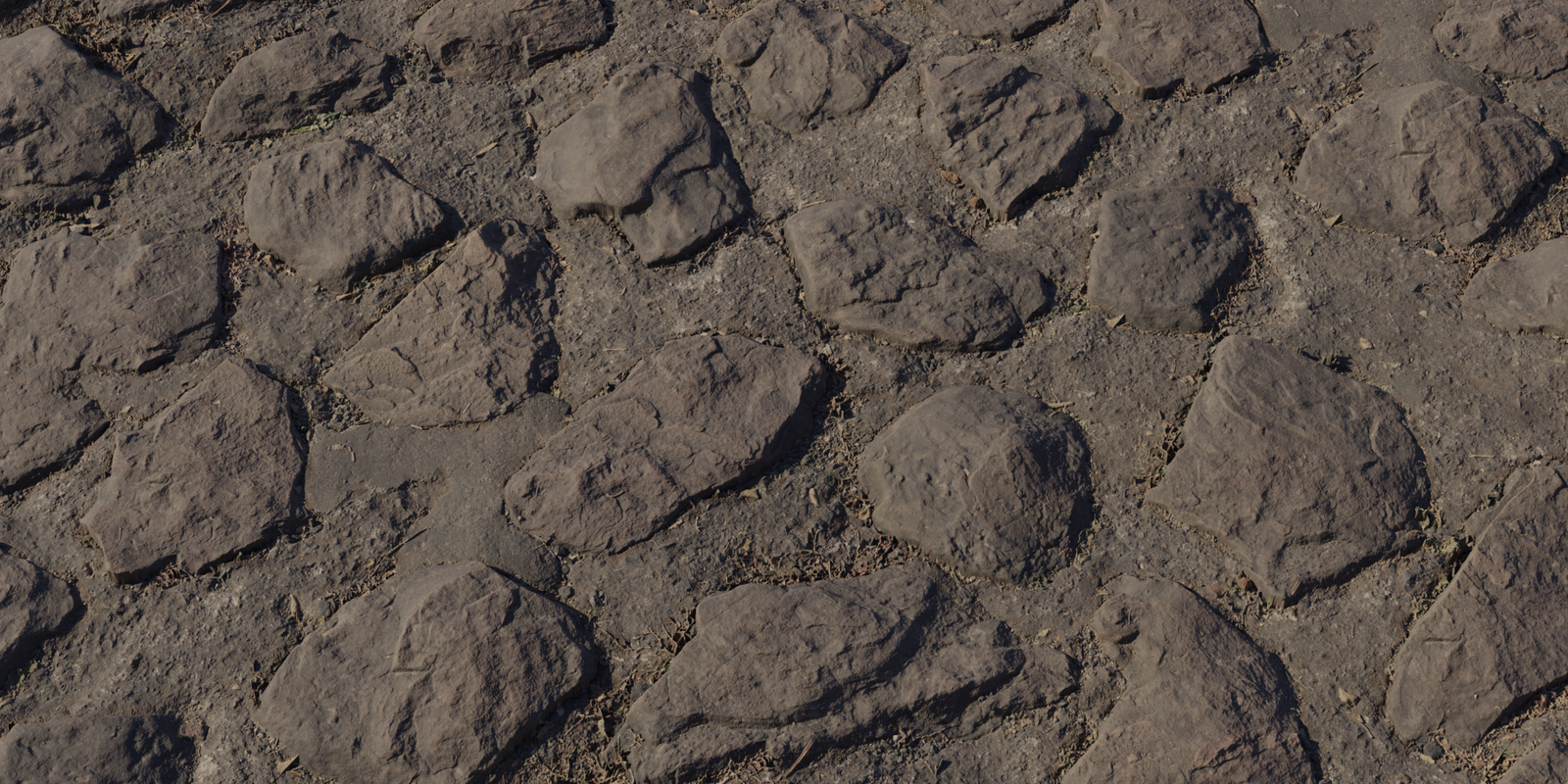 Concrete Rock Path