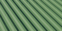 Container Side - Preview