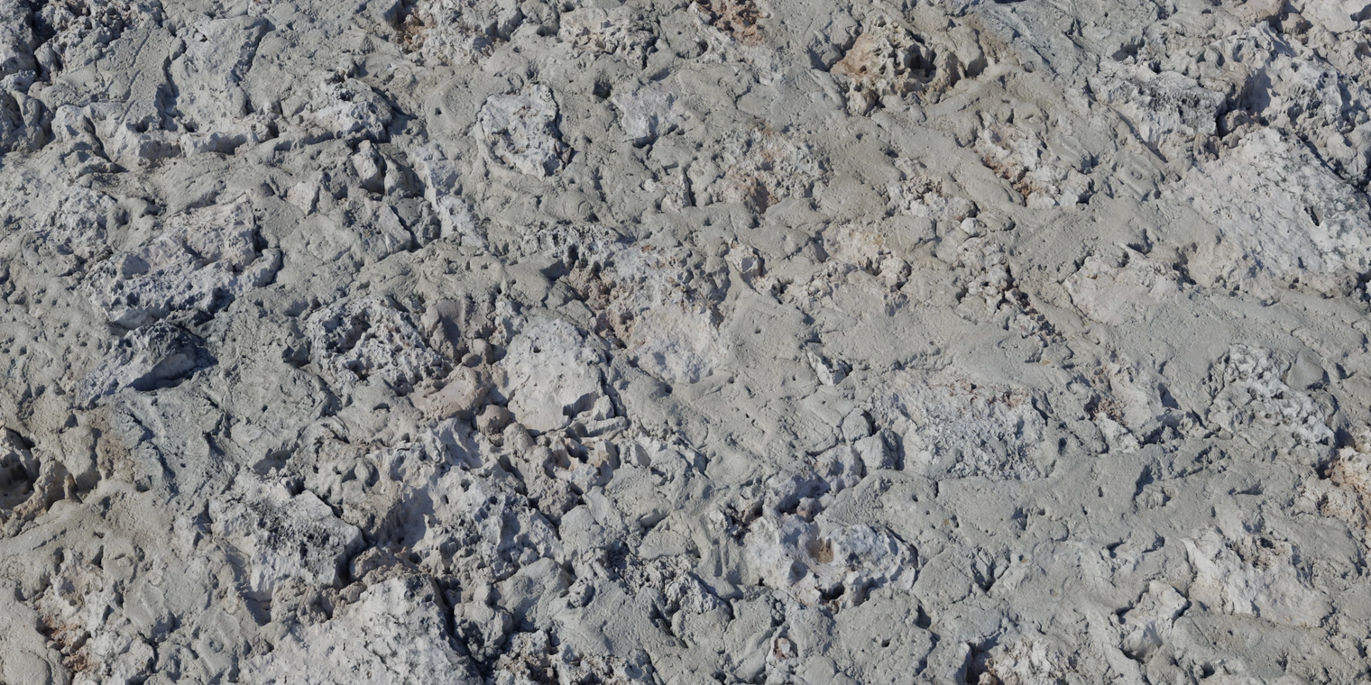 Free 16K texture of a weathered coastal fort wall: rough, porous coral-infused plaster with damp, cracked grey-beige tones and uneven, eroded surfaces.