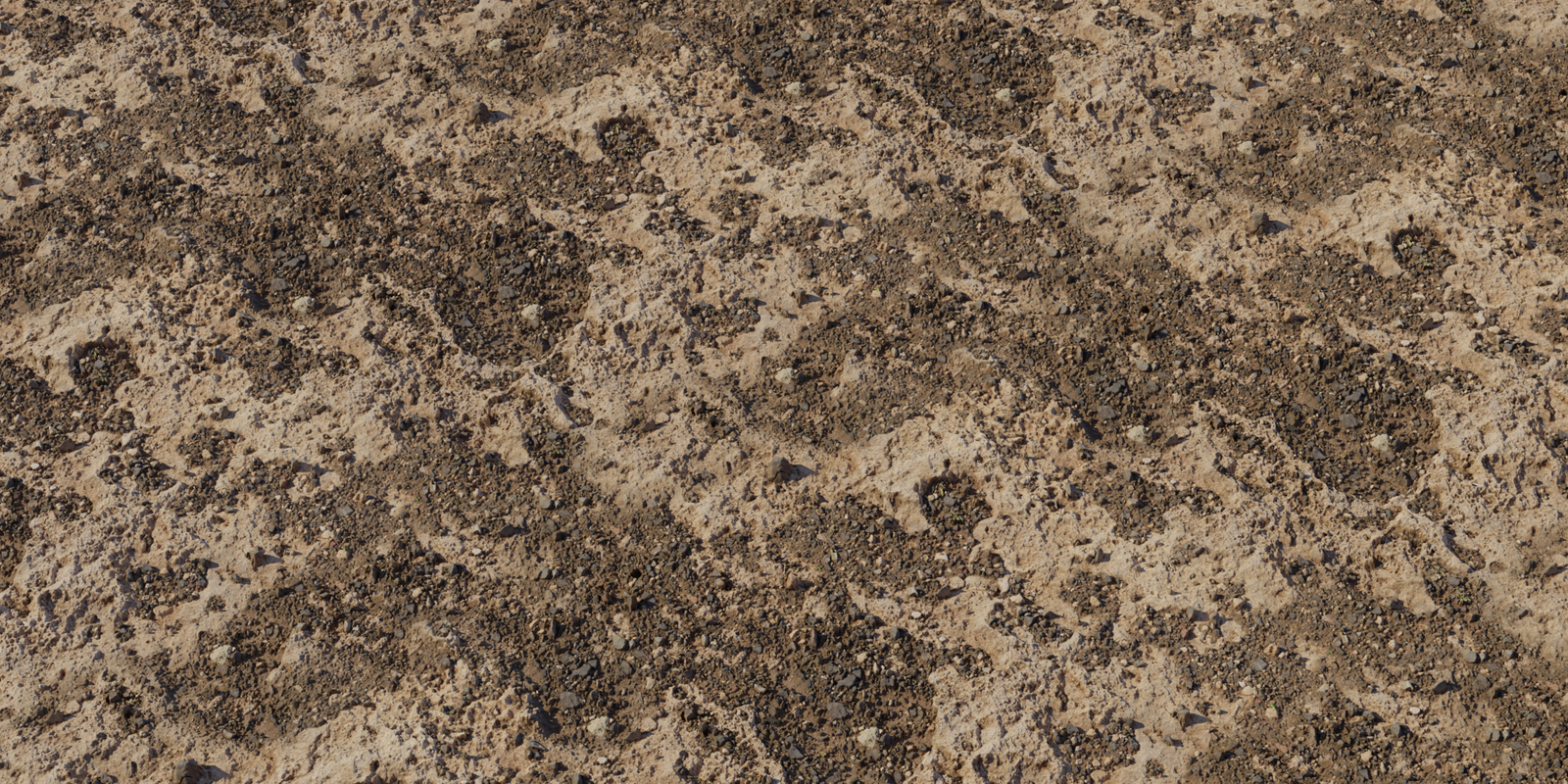 Coral Ground 02