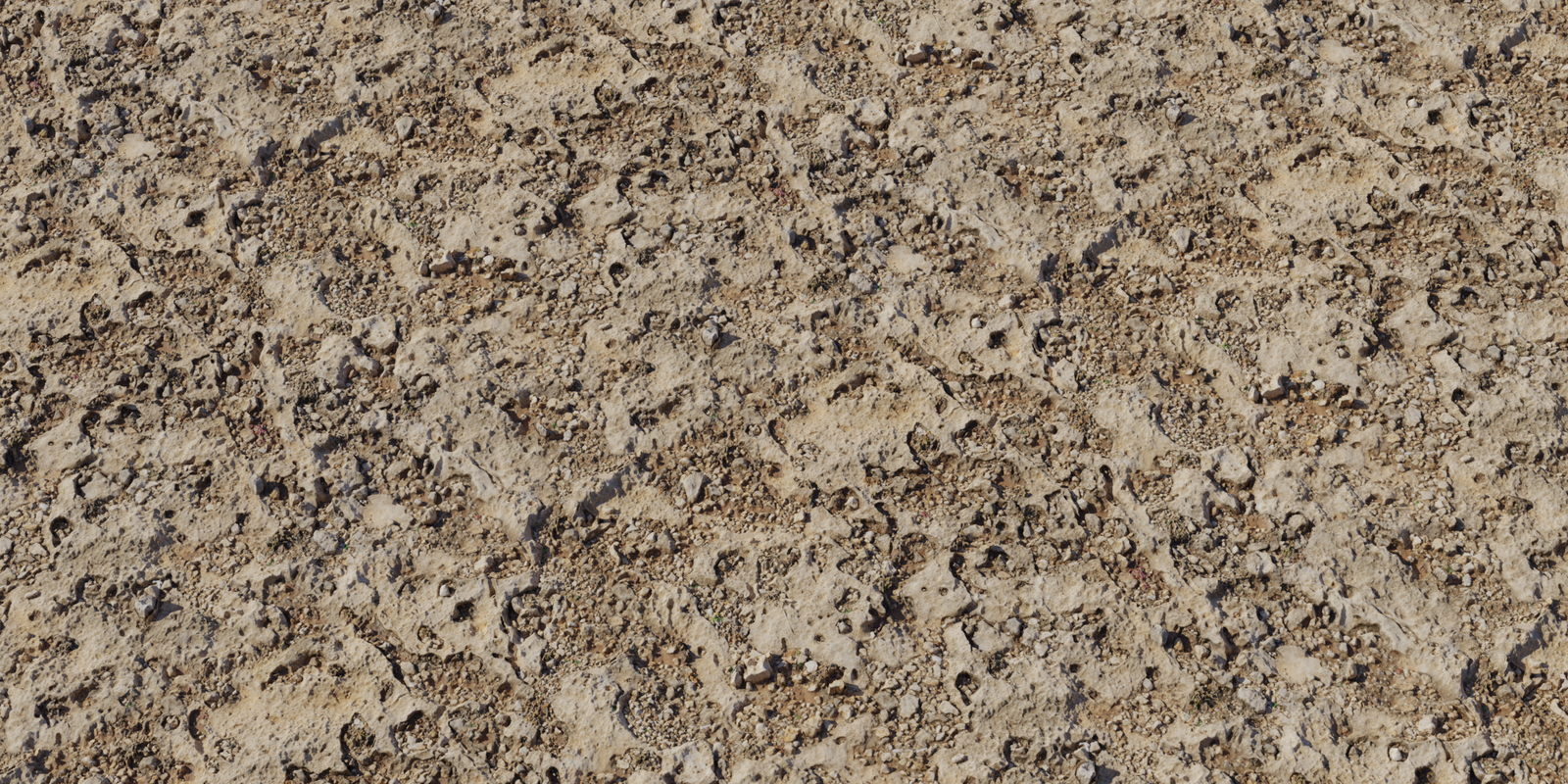 Coral Mud 01