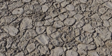 Coral Stone Wall - Preview