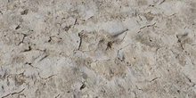 Cracked Concrete Wall - Preview