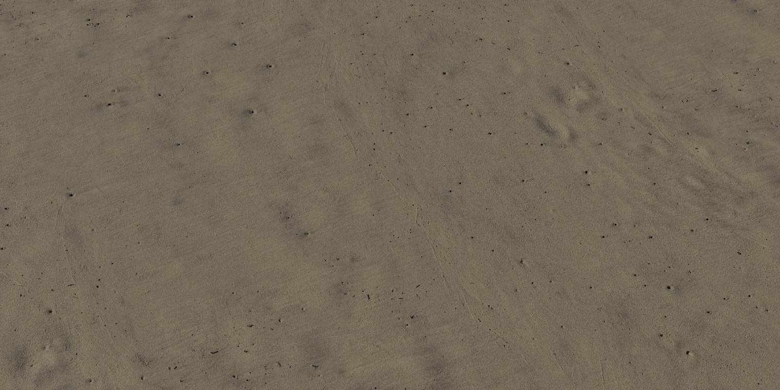 Free 8K texture of damp beach sand: compacted fine grains with subtle ripples, tiny pits and dark speckling, soft sheen and gentle color variation.
