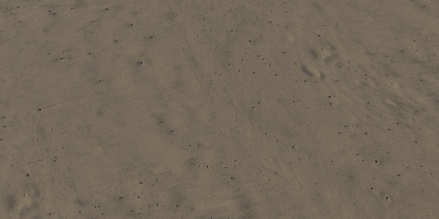 Free 8K texture of damp beach sand: compacted fine grains with subtle ripples, tiny pits and dark speckling, soft sheen and gentle color variation.