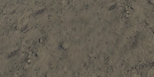 Damp Beach Sand 02 - Preview