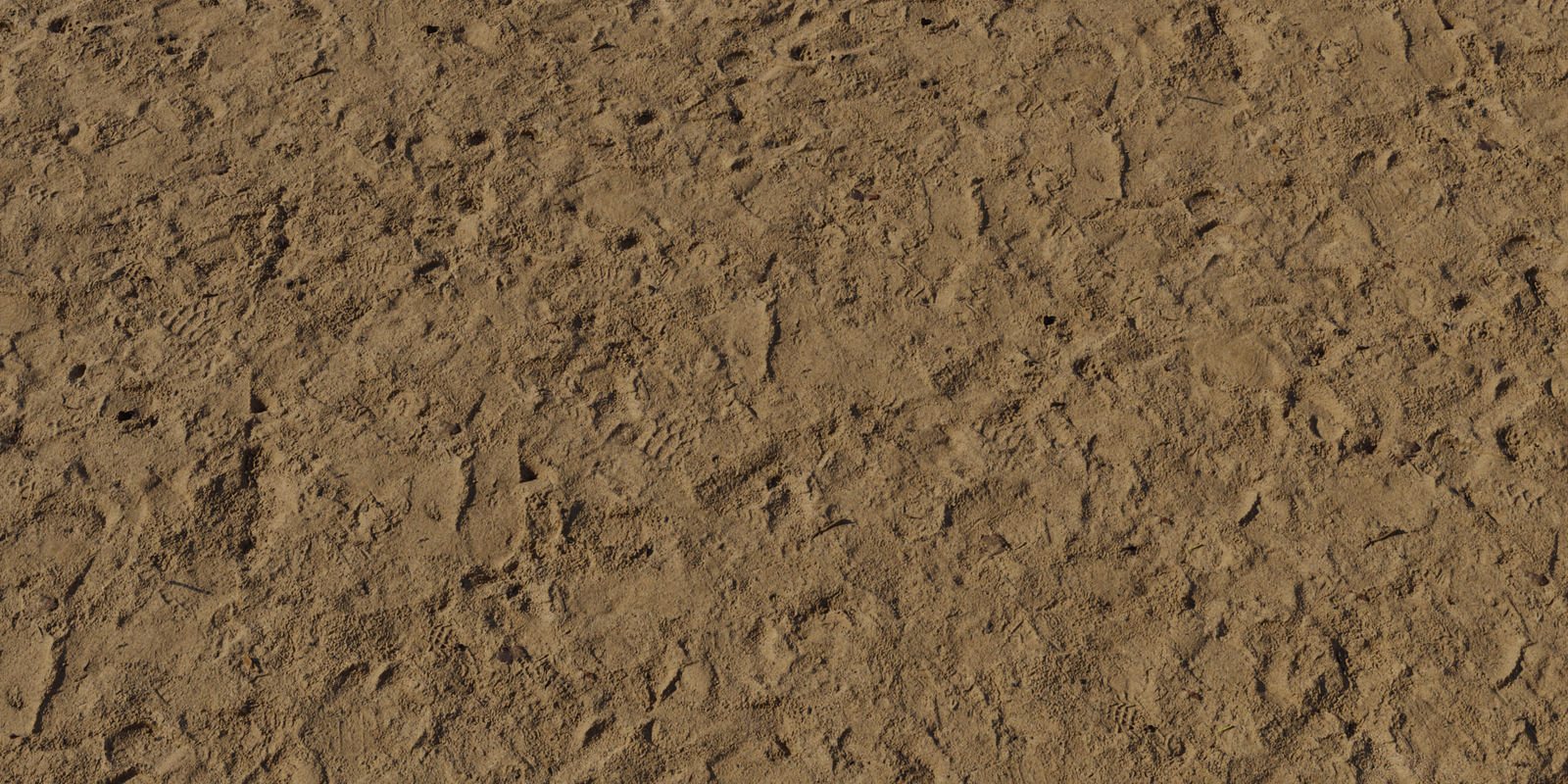 Damp Sand