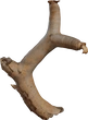 Dead Quiver Branch 01 - Preview