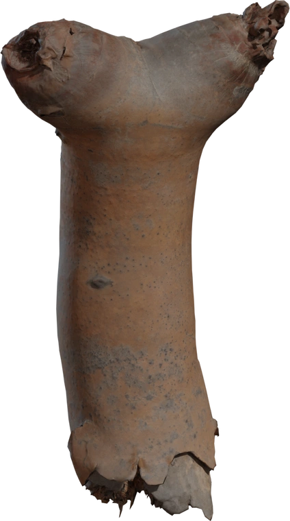 Free 8K Dead Quiver Branch 02 model - Namaqualand, Karoo-worn, decayed dried log with cracked bark and weathered texture, perfect desert groundcover debris.