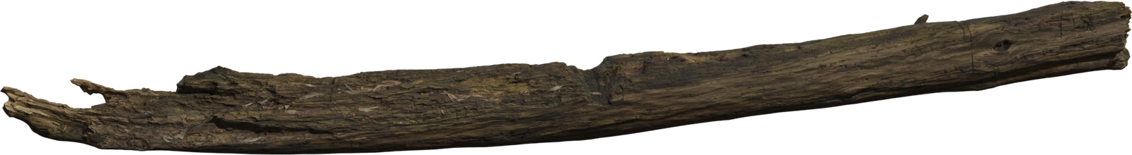 Free 8K dead tree trunk model, a long weathered log with cracked, decayed bark, pronounced wood grain, broken ends and subtle mossy-green patches.