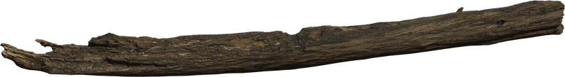 Dead Tree Trunk - Preview