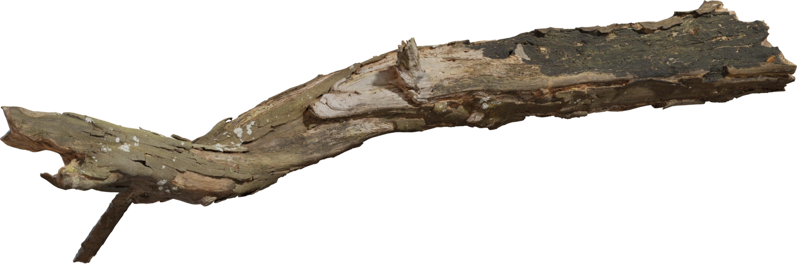 Free 8K 3D model of a dead tree trunk - decayed, dry log with rough bark, lichen and broken stub; great for woodland debris, stump or forest-floor ground cover.