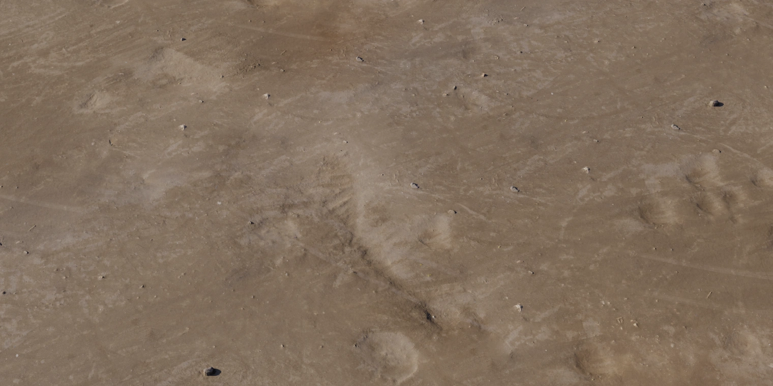 Free 8K texture of dry, compacted dirt with scattered gravel and small stone fragments, dusty surface with subtle erosion streaks and organic color variation.