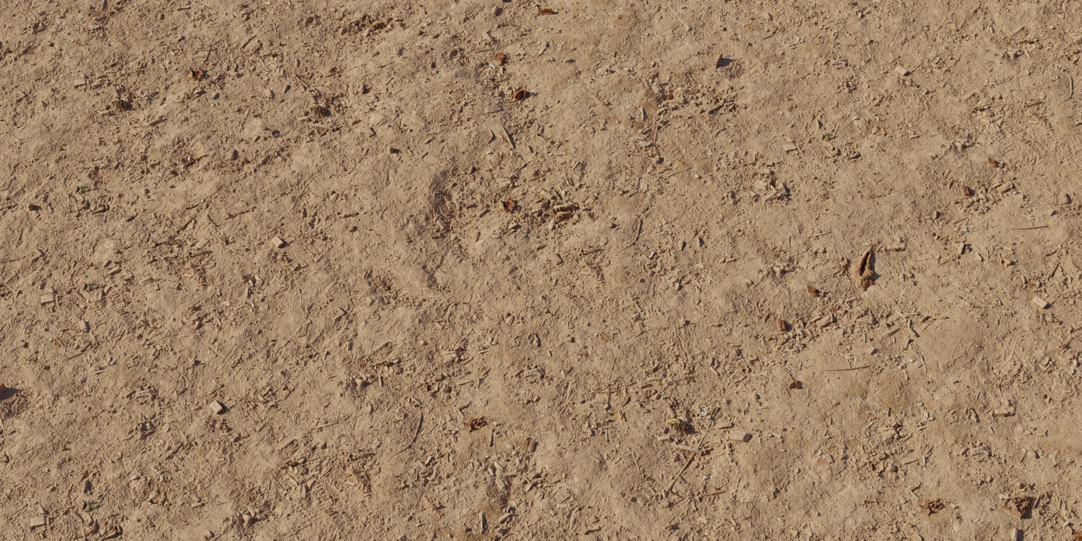 Free 8K texture of uneven brown dirt with compacted, slightly muddy surface, scattered twig and leaf debris, fine granular detail and subtle roughness.