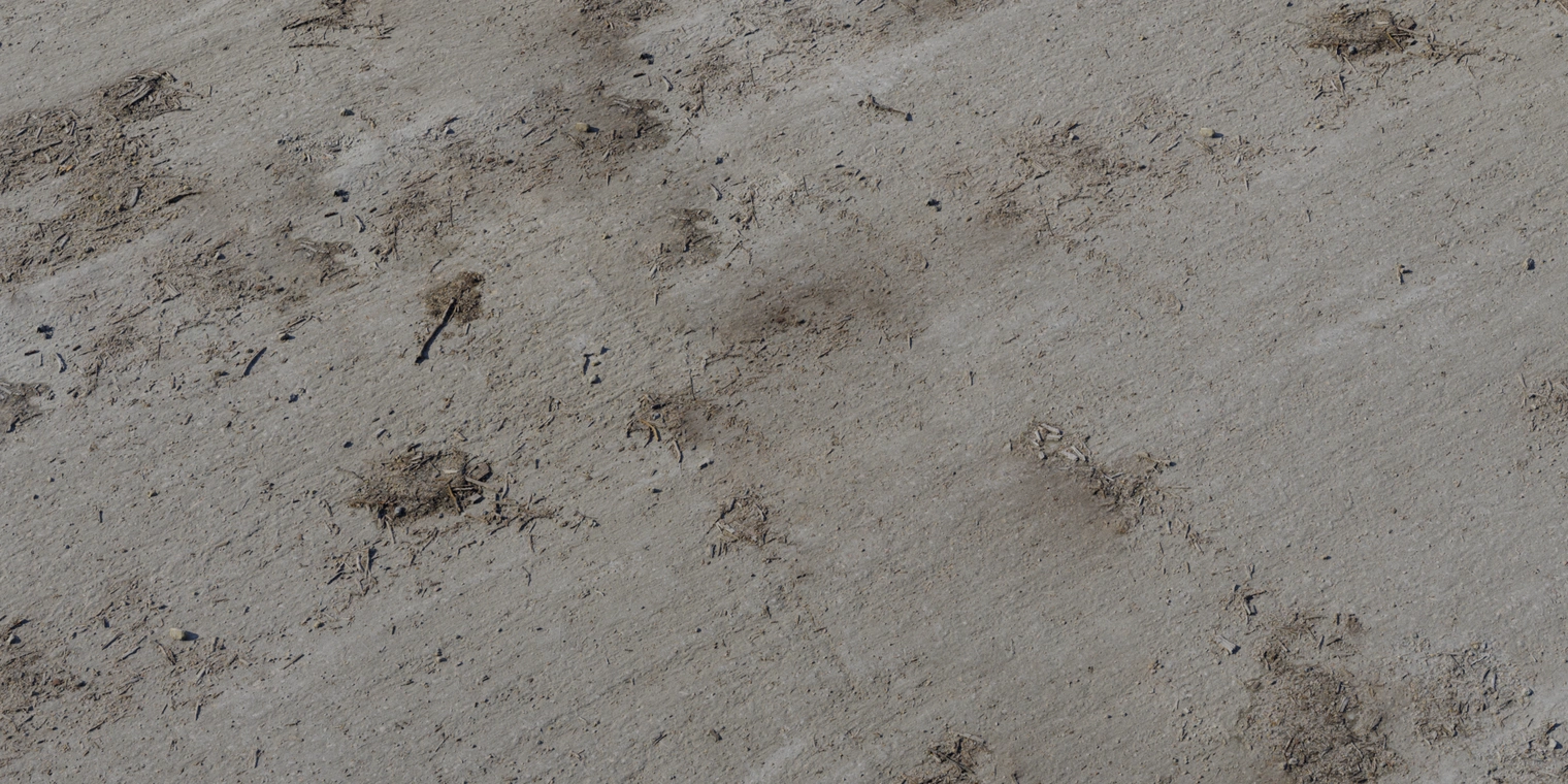 Free 8K texture of dirty concrete: rough, sandy surface with mud stains, embedded twigs and grit, and worn, gritty outdoor floor detail.