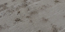 Dirty Concrete - Preview