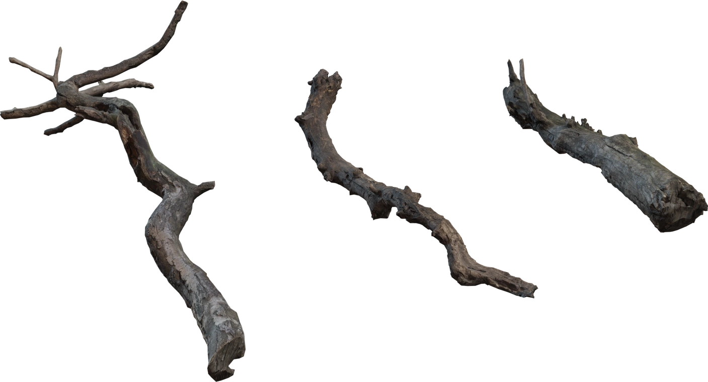 Free 8K photoscanned set of medium dry branches - gnarled, cracked bark, weathered texture, natural twists, knots and subtle moss.