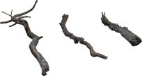 Dry Branches Medium 01 - Preview