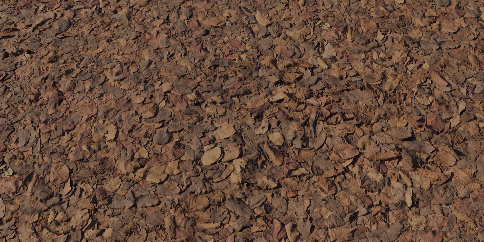 Dry Decay Leaves