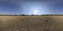 Dry Field - Preview