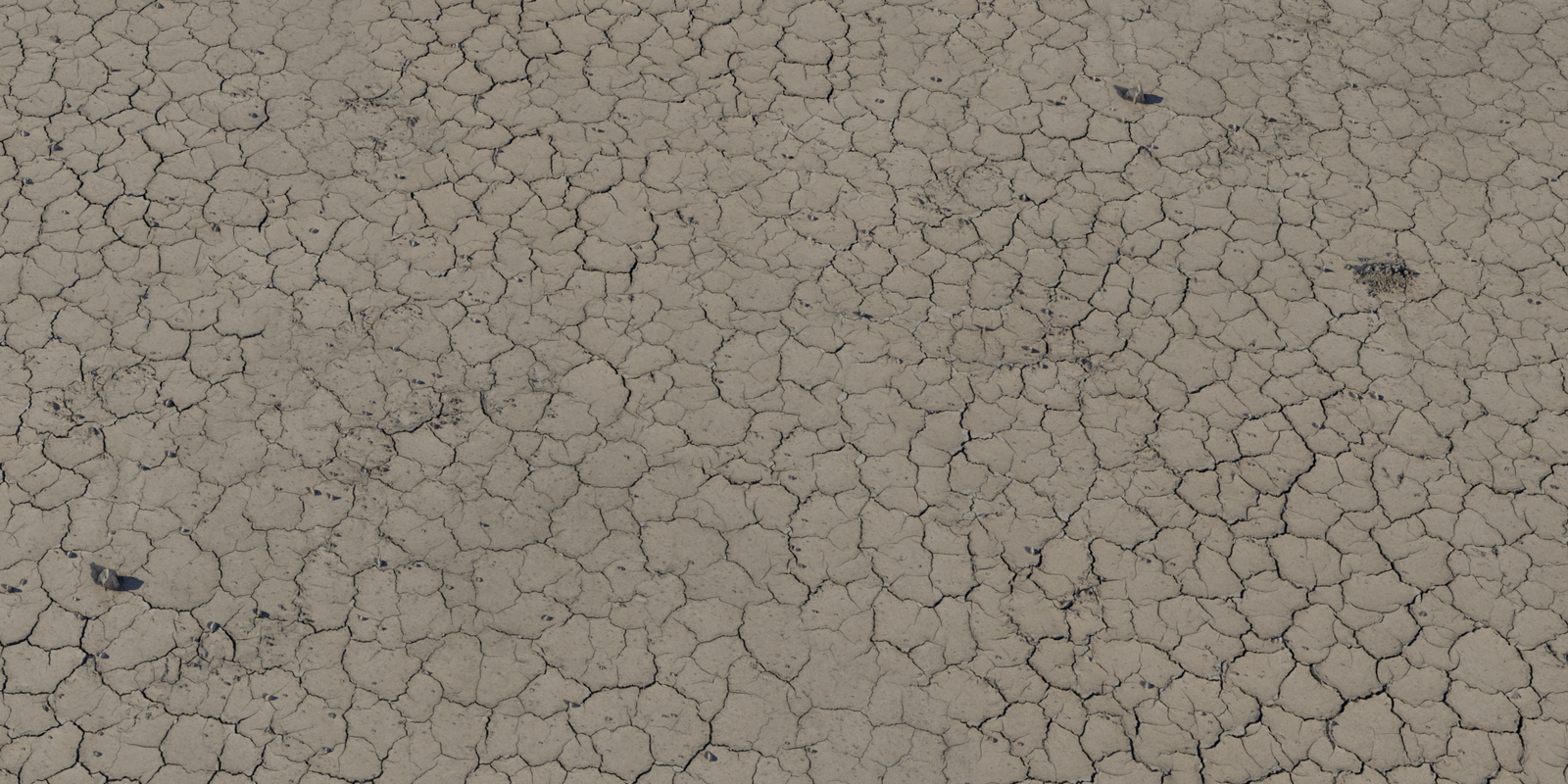 Dry Ground 01