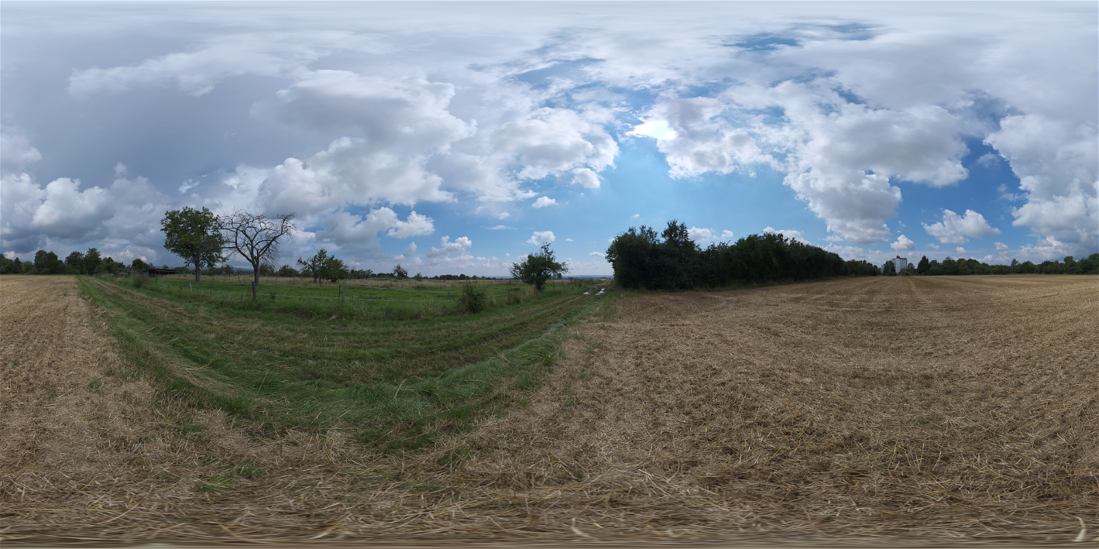 HDRI – Dry Hay Field – nature - thumbnail 1