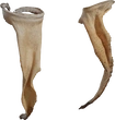 Dry Quiver Leaf - Preview