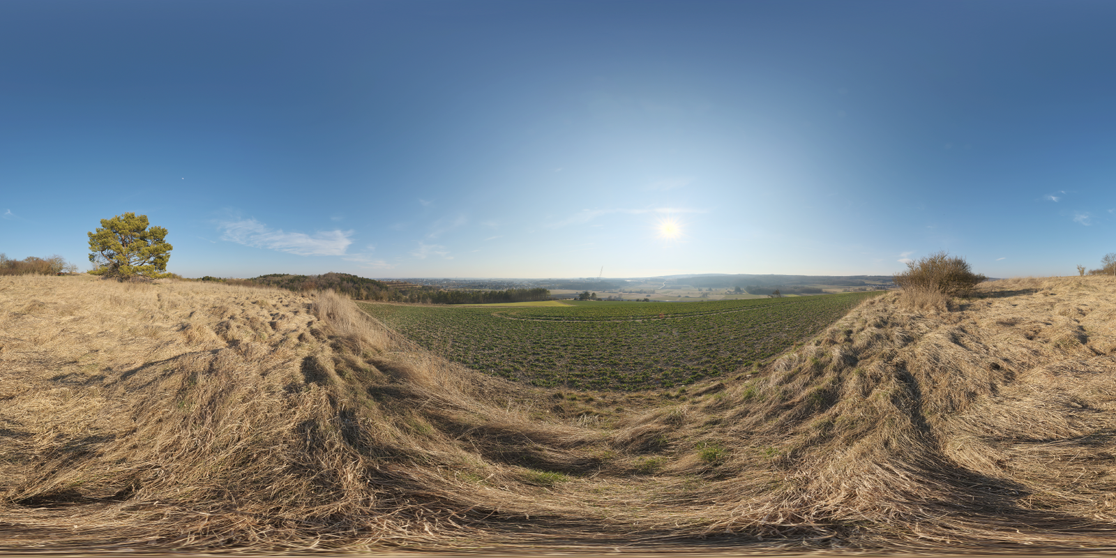 Ehingen Hillside 02