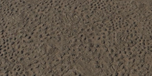 Embedded Rock Floor - Preview