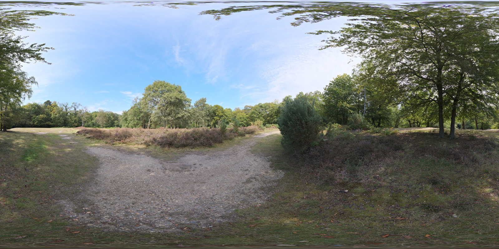 Epping Forest 02