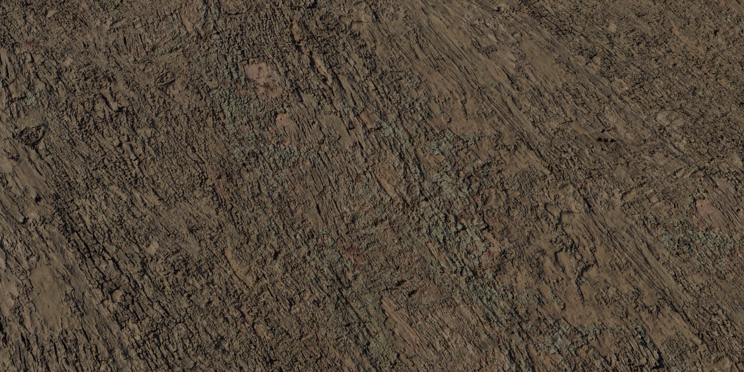 Free 8K eucalyptus bark texture with rough, peeling strips, deep vertical ridges and mossy green patches. Warm brown tones, matte, high-detail normals.