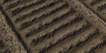 Farm Furrows - Preview