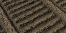 Farm Furrows - Preview