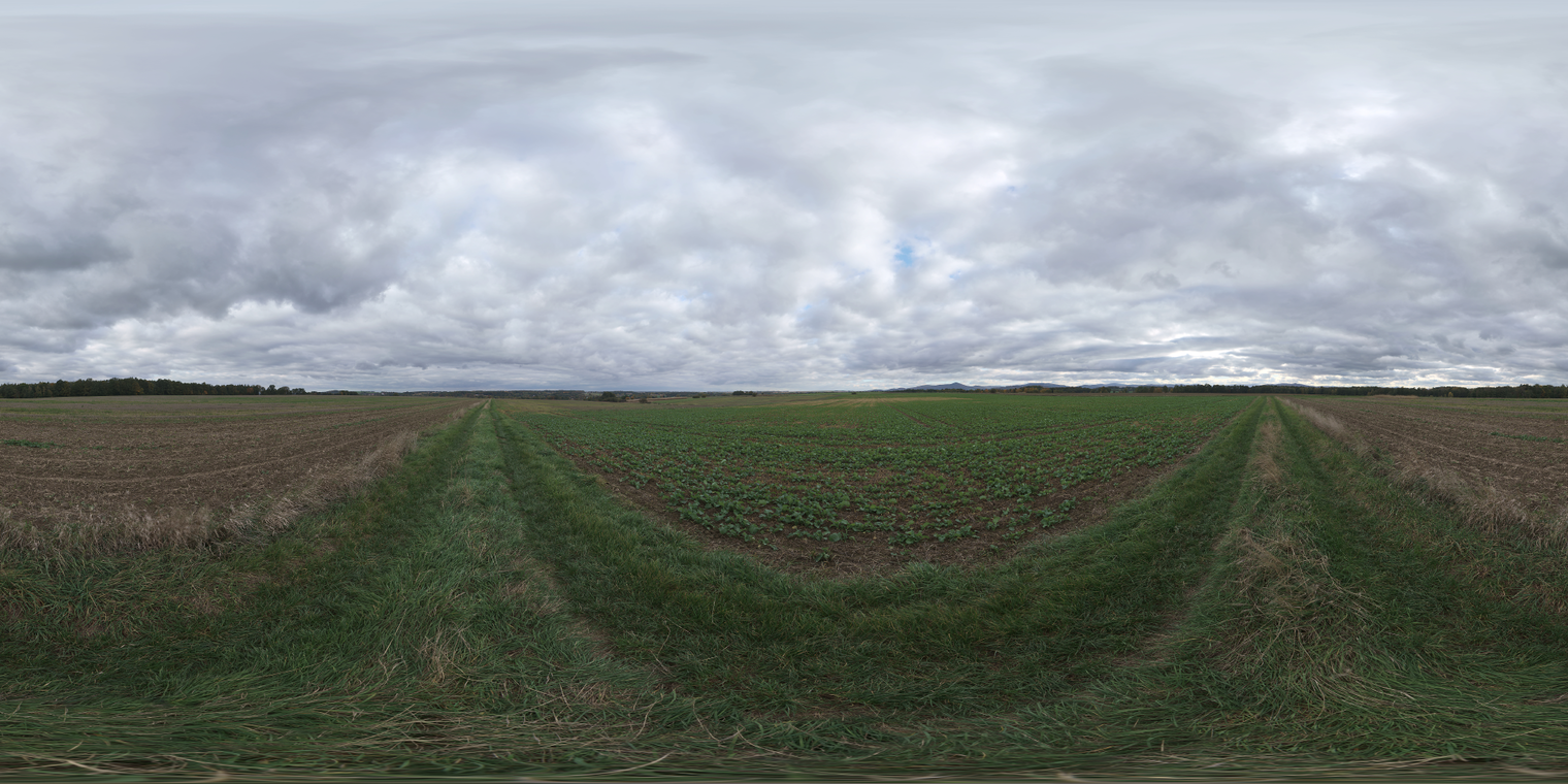 Unclipped, free 29k HDRI. Soft overcast morning/afternoon light over flat farmland with a grassy path, low-contrast, cool muted tones and textured clouds.